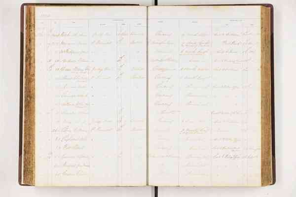 Register of male prisoners admitted - HM Prison, Brisbane (Boggo Road) 1879-1886 (ITM2940)