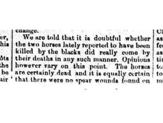 Port Denison Times, 3 October 1868, p2