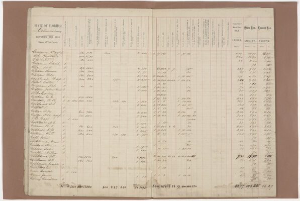 Columbia County 1868