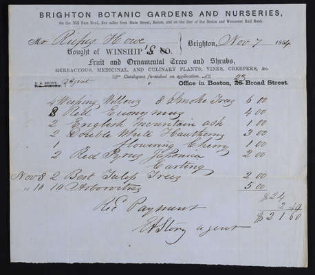 1854-11-07 Horticulture Invoice: Winship's, Brighton Botanic Garden, 2021.005.005  