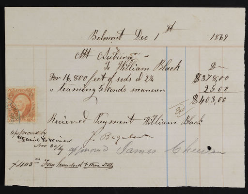 Horticulture Invoice: William Black, 1869 December 1 (recto)