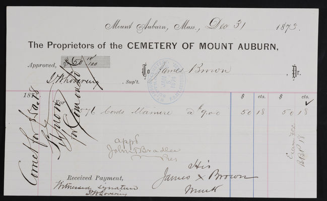 Horticulture Invoice: James Brown, 1873 December 31 (recto)