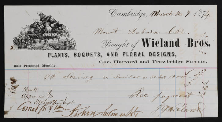 Horticulture Invoice: Wieland Bros., 1874 March 7 (recto)