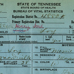Tennessee Birth Records - 1923