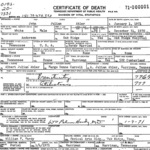 Tennessee Death Records - 1973