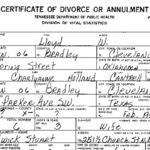 Tennessee Divorce Records - 1973