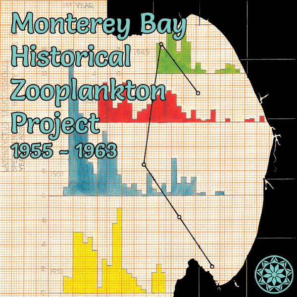 Monterey Bay Historical Zooplankton Project
